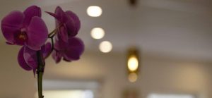 Boka rum direkt med hotellet